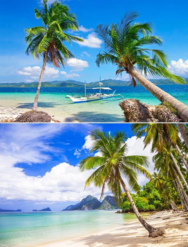 金牌大叔|儿童画教程｜低幼儿趣味画--碧海椰风