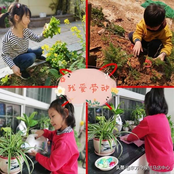 「你的育儿经」驻马店市实验幼儿园开展“宅家不虚度 劳动最光荣”主题教育活动