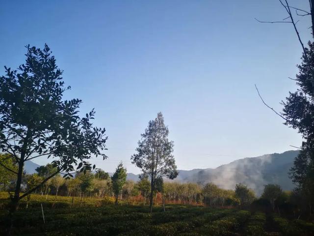 【超级宝妈】别样过假期，携手共育促成长——家乡篇