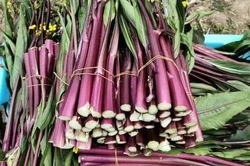 维生素|别只吃水果补维生素C了！这10种蔬菜维生素C含量比橙子还高