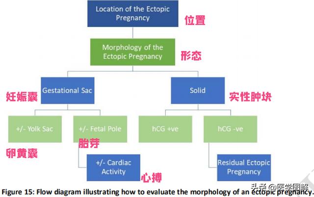 你的育儿经■ESHRE关于正常位置妊娠和异位妊娠术语的专家共识