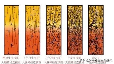 「你的育儿经」这份早期阅读避坑指南，让亲子阅读少走3年弯路（附0-6岁书单）
