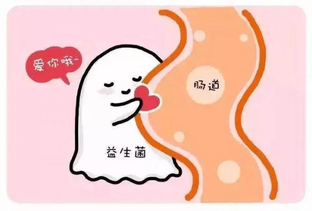 #上观新闻#吃得好，不如吃得巧！善用食物促进儿童肠道健康