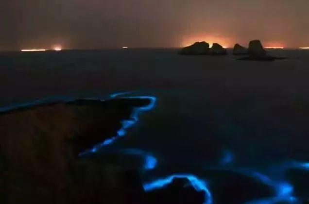 趣旅游▲浙江海岛游,众多“追泪”的车辆已经在路上了