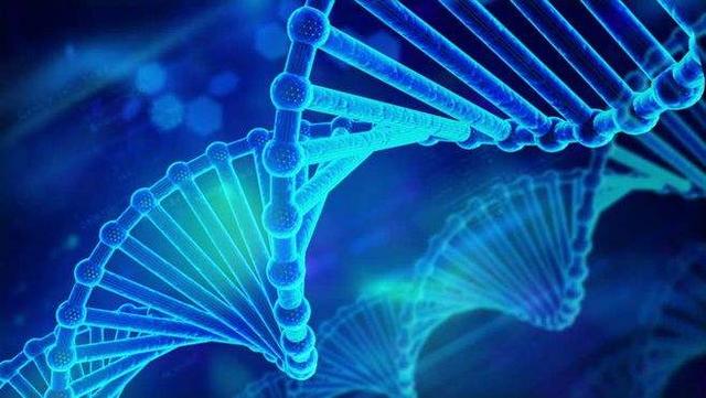 有趣生活|“爱你年”最新研究：一米八并非孩子的理想身高，父母可放心了