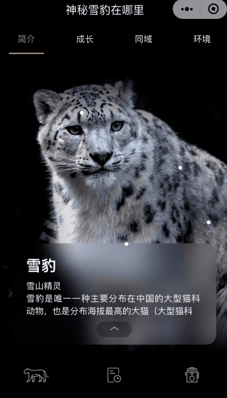 雪豹也上云，这是腾讯云小微AI知识图谱平台的小场景大应用