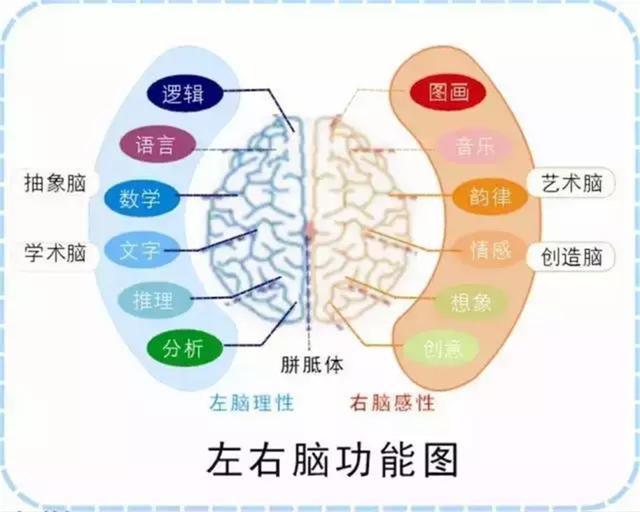 [超级宝妈]孩子有这3种表现，说明右脑发达有“学霸”潜质，家长要好好培养
