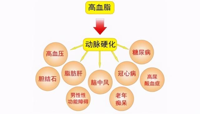 血脂7个指标，哪些是“好血脂”？哪些是“坏血脂”？医生告诉你