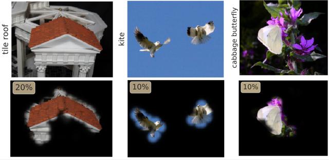Glance and Focus: 通用、高效的神经网络自适应推理框架