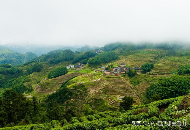 旅行百事通@福建最美的梯田之一,藏在宁德福安白云山北侧,极为原生态未开发