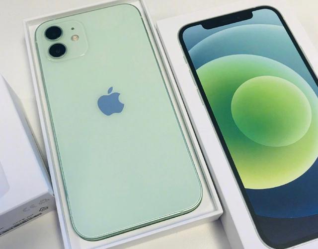 iPhone12 Pro还没到手，31万的定制手机壳都出现了