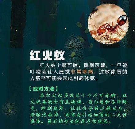 [光明网]高烧不退，严重可致命！青岛又有孩子中招！这个“小黑点”千万别大意