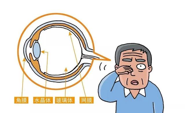 眼睛|「双语」健康用眼，你做到了吗？