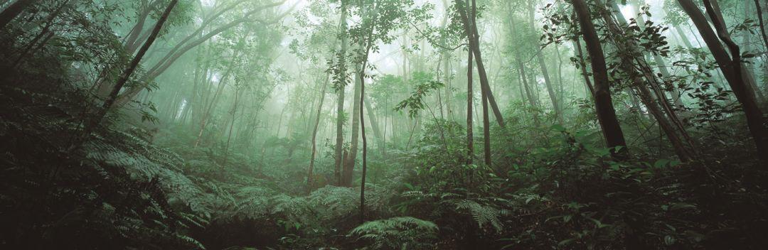 趣旅游@战“疫情” | 来星湖种下春天的希望,收获七彩的花海