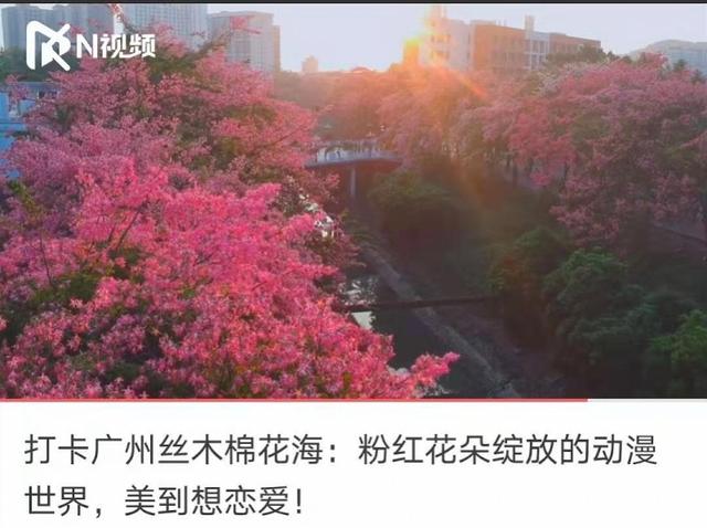 冬日里，花海间，感悟城市与花草