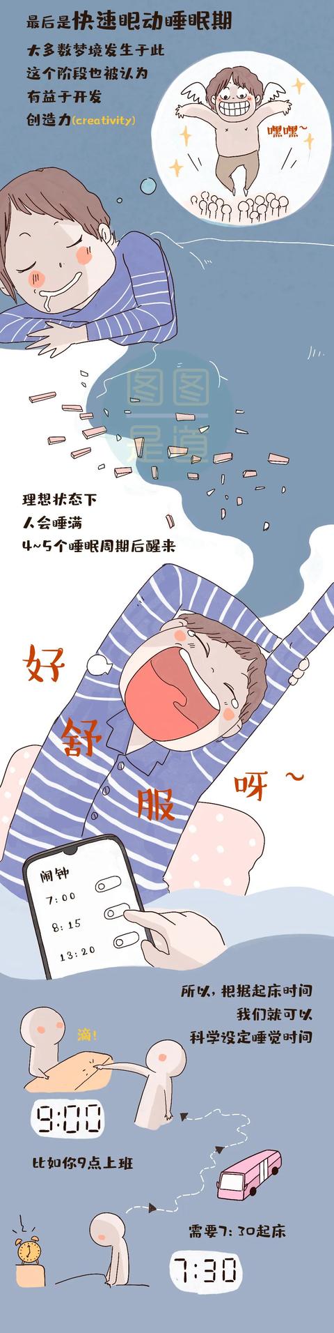 春困 夏倦 秋乏 冬眠？也许你需要改变一下睡眠的打开方式！