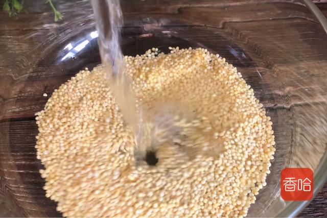 大雪后该吃它了！鲜嫩入味比肉香，身体倍儿棒天冷也不怕