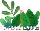 【你的育儿经】【兵幼 . 云时光】---亲子居家防疫活动指南NO.15