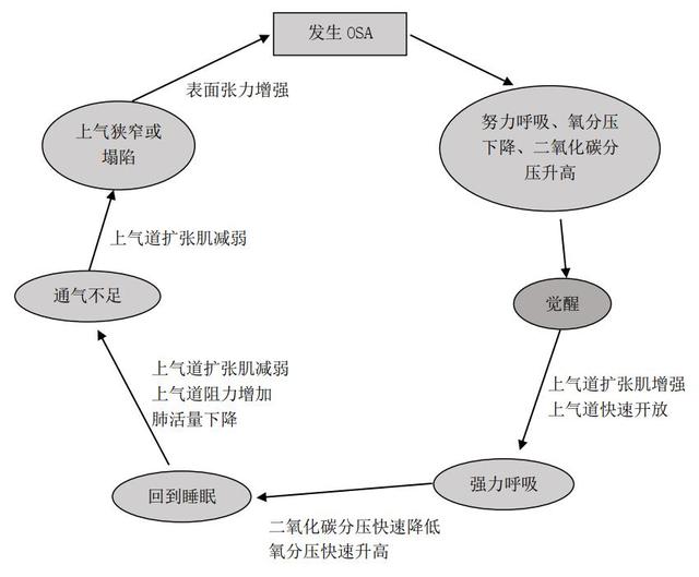 每天有3000人睡着猝死，躺平睡觉的人类付出多大的代价？