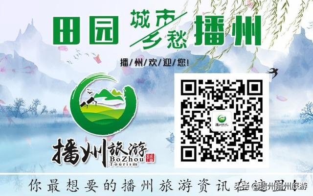 #旅行柚子君#云赏花 | 播州桃李石溪花开了!诗意般的画面,雪白一片~