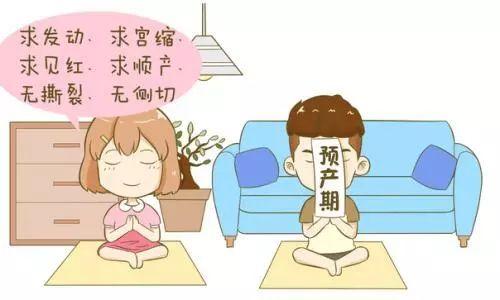 『你的育儿经』孕产妇健康管理，为妈咪宝贝的健康守门