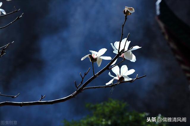 人心自安，天寒也心暖