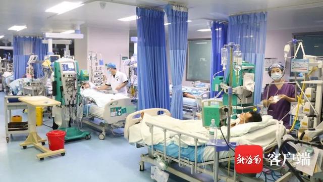 河豚|海南儋州3人误食河豚中毒，情况危急……
