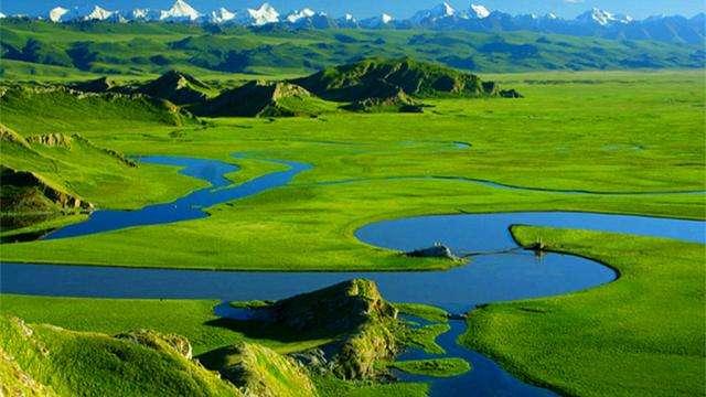 【逆旅行人】新疆真是个“独特”的地方，光是看当地的特产和美食，人家就赢了