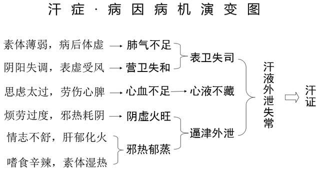 中医汗证的定义,古代医书医家的沿革,病因病机,辨证论