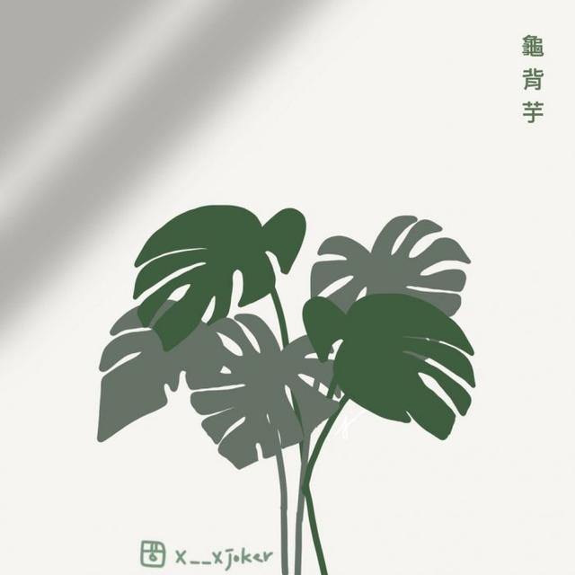 这些植物 可以一秒看穿你的爱情观 别不信