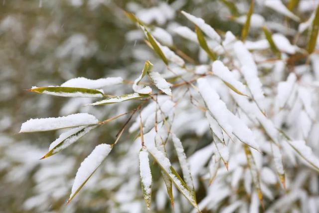 定格！雪中海大