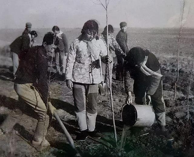 50年前，那个因众人“热心”介绍，嫁没文化农民的女学生怎样了