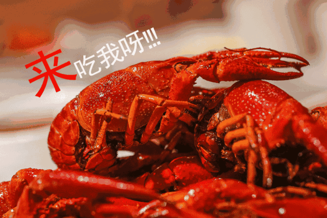 「陌上花」这9道菜千万别这样吃, 全是虫! 夏天很多孩子都爱吃! 快看看吃对了吗