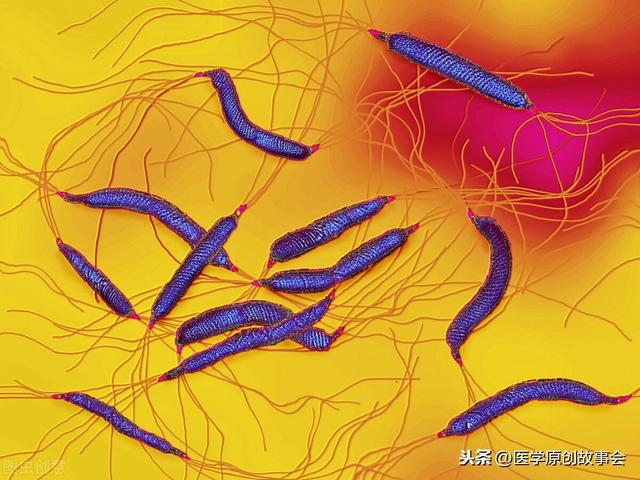 幽门螺杆菌最怕七种药物组合，坚持治疗十天，越早越容易根除