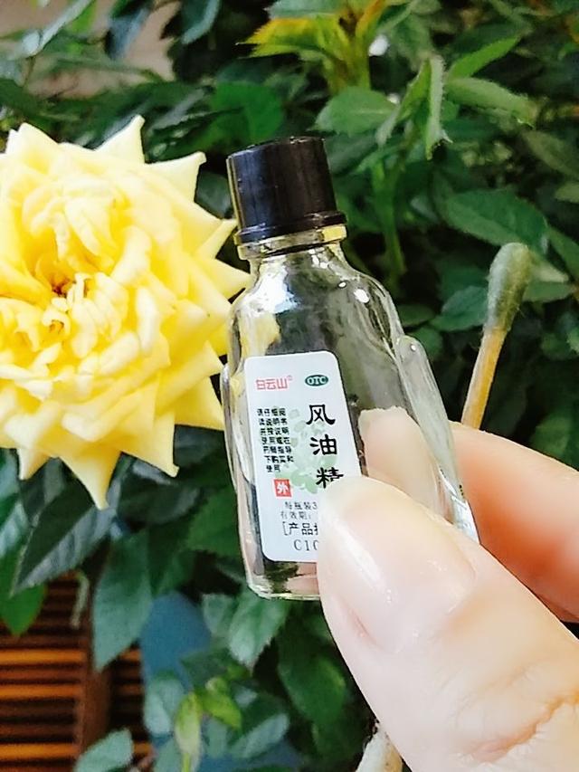 11月天气干旱，花卉容易生虫，自制杀虫水远离虫害