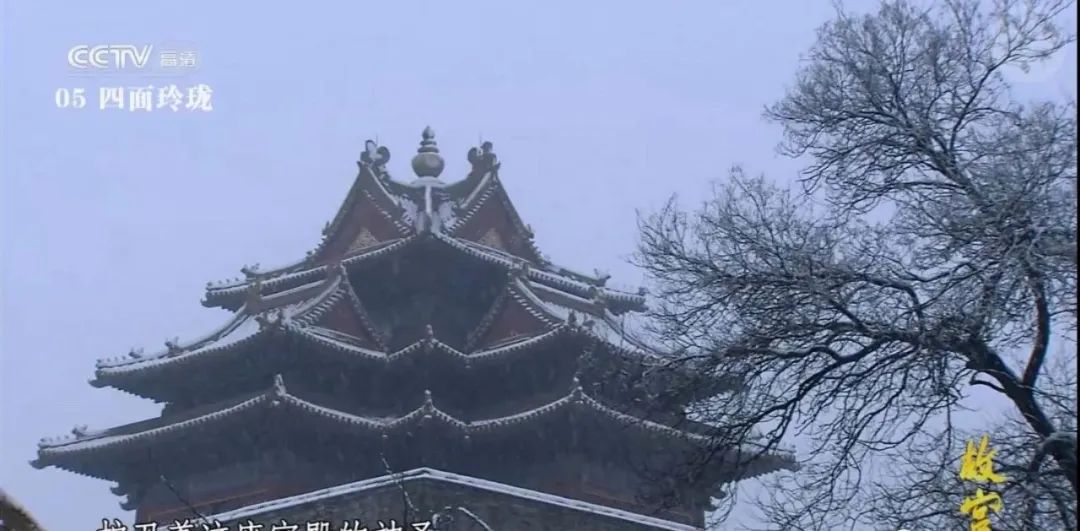 「文字上的青年」8部国产纪录片，让孩子深深认识到中国有多美！适合假期一起看