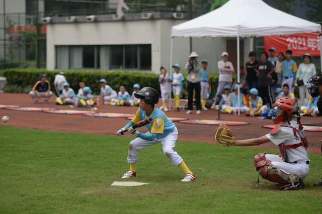 垒球|杭州首届青少年棒垒球开赛 350余名选手绿茵场上激情角逐