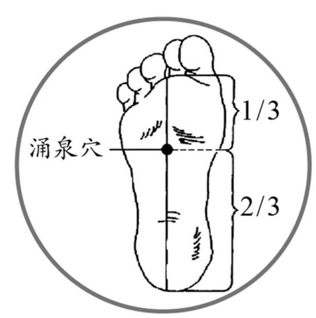 睡眠质量差，白天总犯困？喝1茶，按3穴，特管用