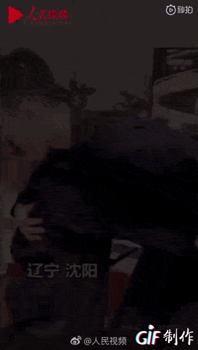 「你的育儿经」被网课逼疯的第60天，再不开学，这届妈妈就要疯了