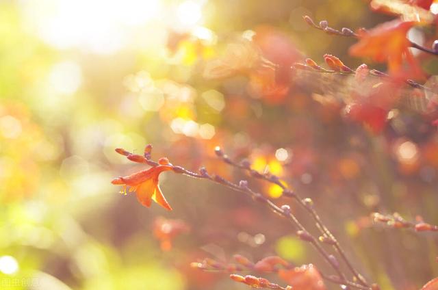 58岁女人坦言：做到这几点，就能避免更年期的不良反应