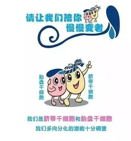 烟雨琴殇|常被忽视的新生儿干细胞，却成为了健康到老的秘密法宝!