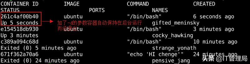 IT工程师都需要掌握的容器技术之Docker容器管理