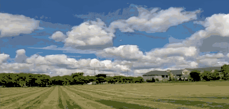 魔幻黑科技！华人学者推出视频修复AI，可换天造物，秒变科幻大片