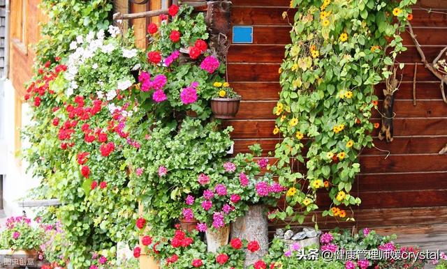 #你的育儿经#罗志祥黑眼圈热议,你知道孩子也有黑眼圈吗?小心隐含疾病