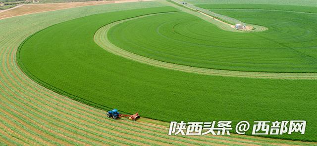 文化|榆阳区GDP首破1000亿元 六项主要经济指标增速榆林第一