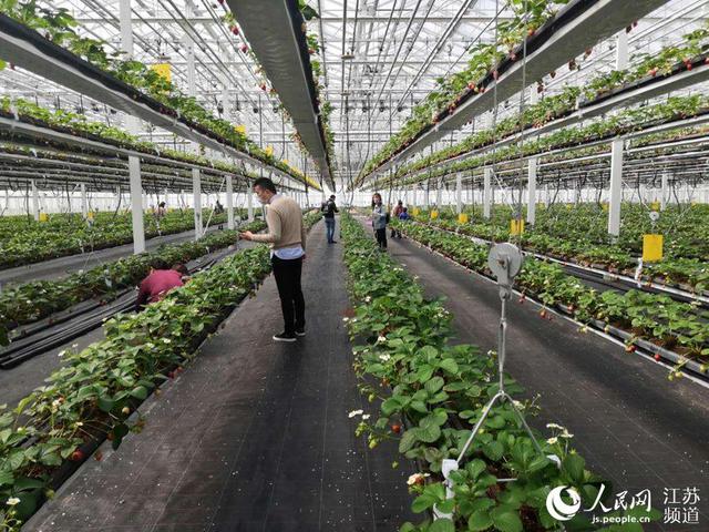 约吗旅行:南京溧水:政策扶持美景“加持”游客数量攀新高