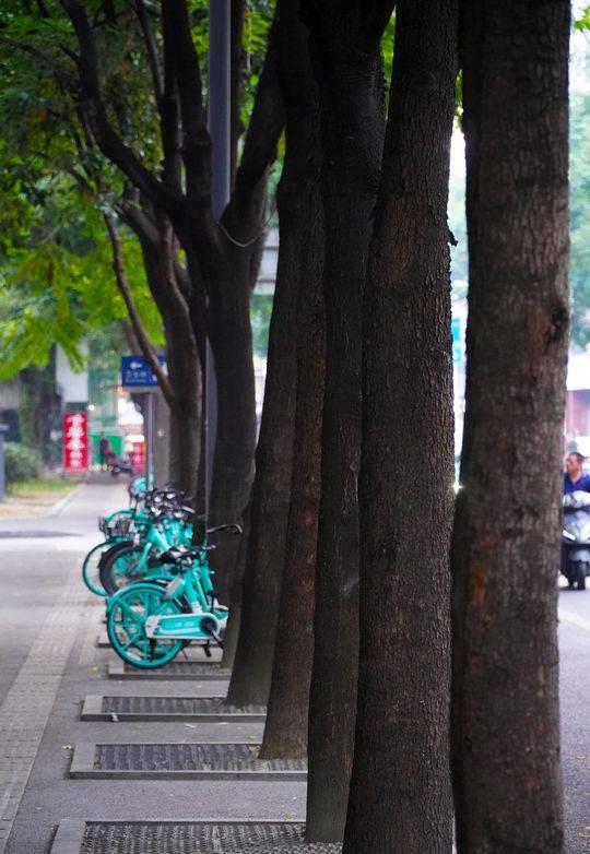 封面新闻图说生活|隆兴街的曾经与现在