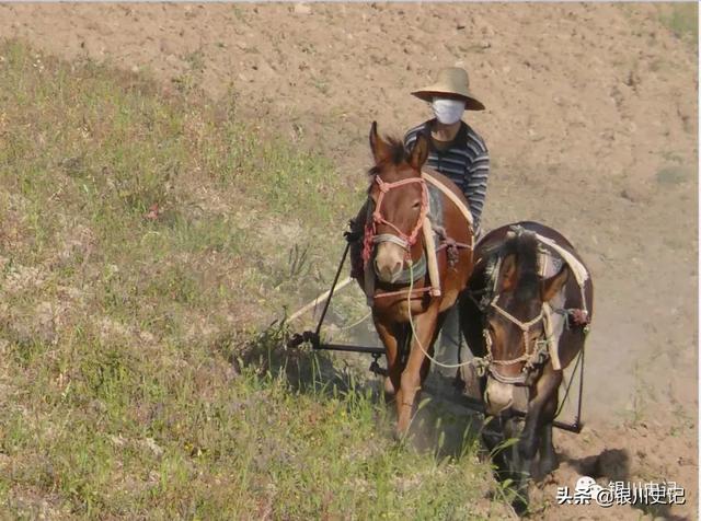 李世翔人文地理随笔：死去的故乡