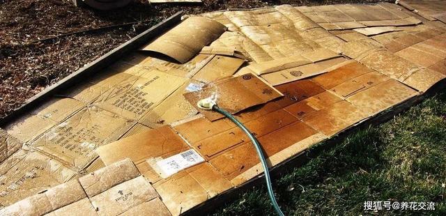 不用的生活用品，用来养花，再合适不过