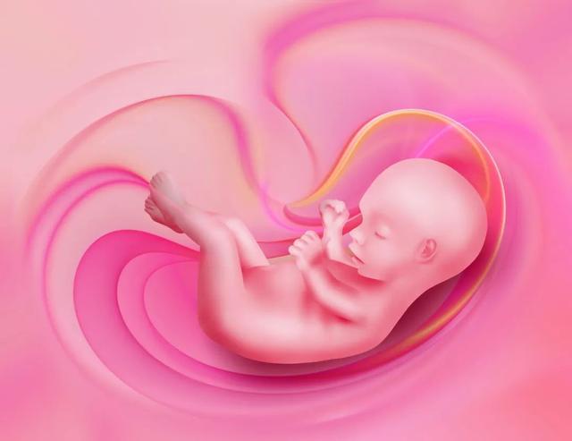 你的育儿经▲生育力现状、何时该生娃、产后咋避孕……科普网赛满满的干活来了